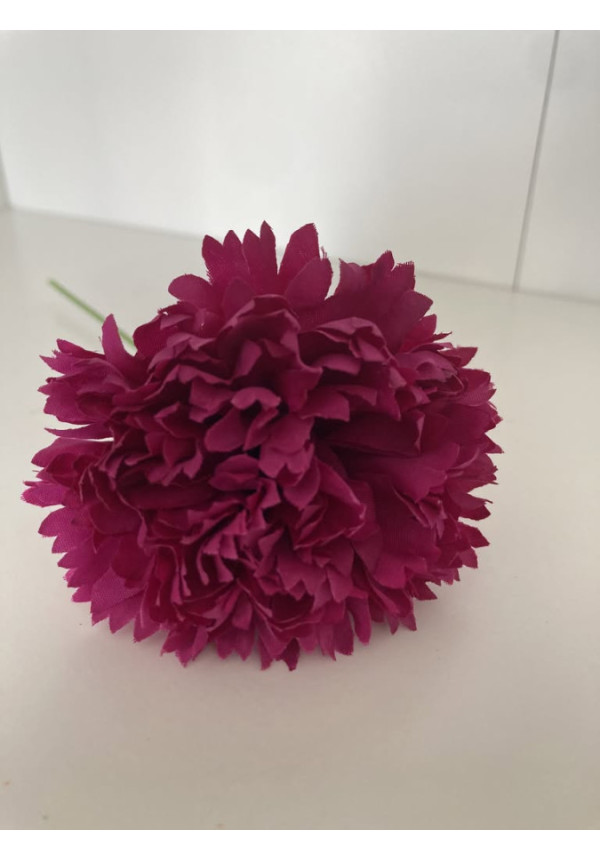 Clavel pequeño