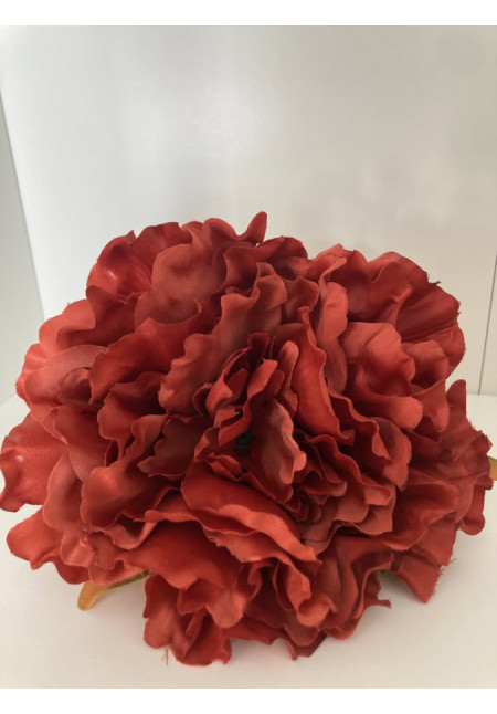 Peonia grande