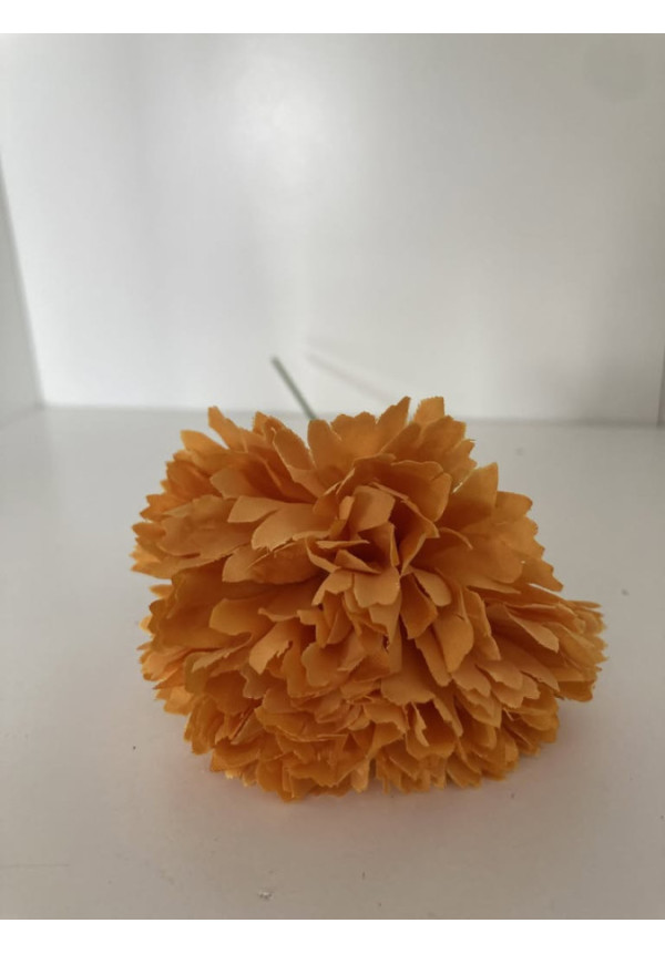 Clavel pequeño