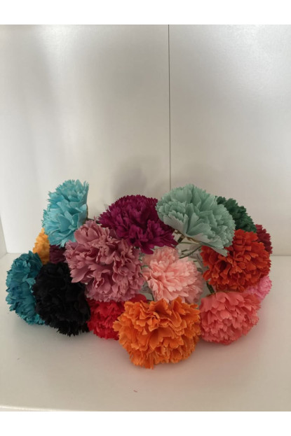 Clavel pequeño
