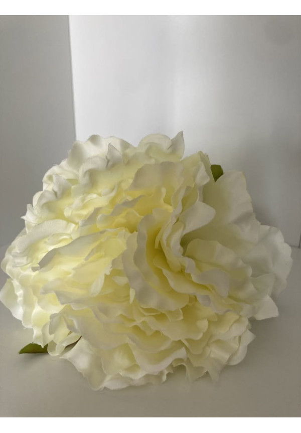 Peonia grande