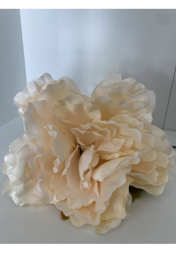 Peonia grande