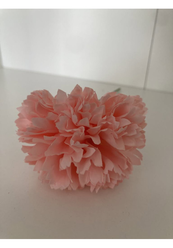 Clavel pequeño