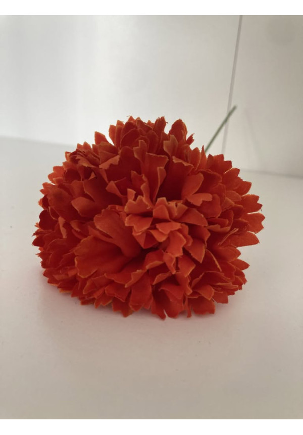 Clavel pequeño