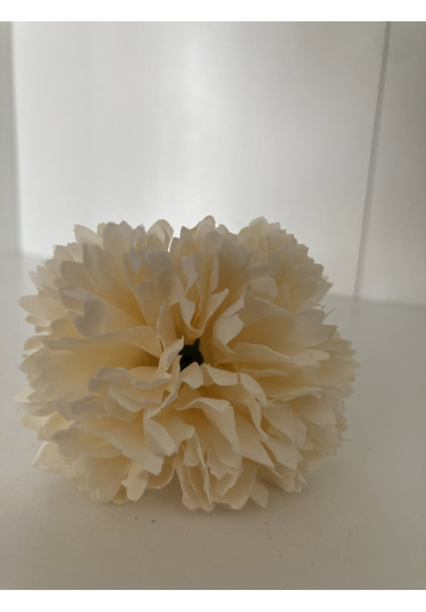 Clavel pequeño