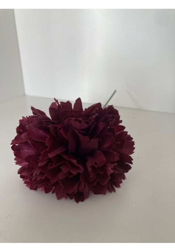 Clavel pequeño