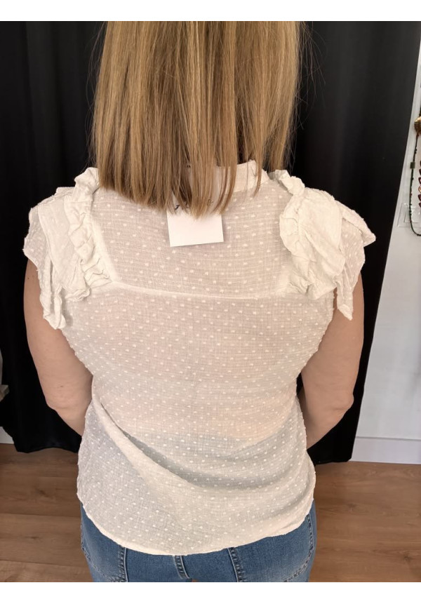 6.83. Camisa plumeti sisa