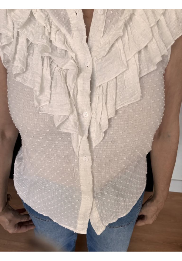 6.83. Camisa plumeti sisa